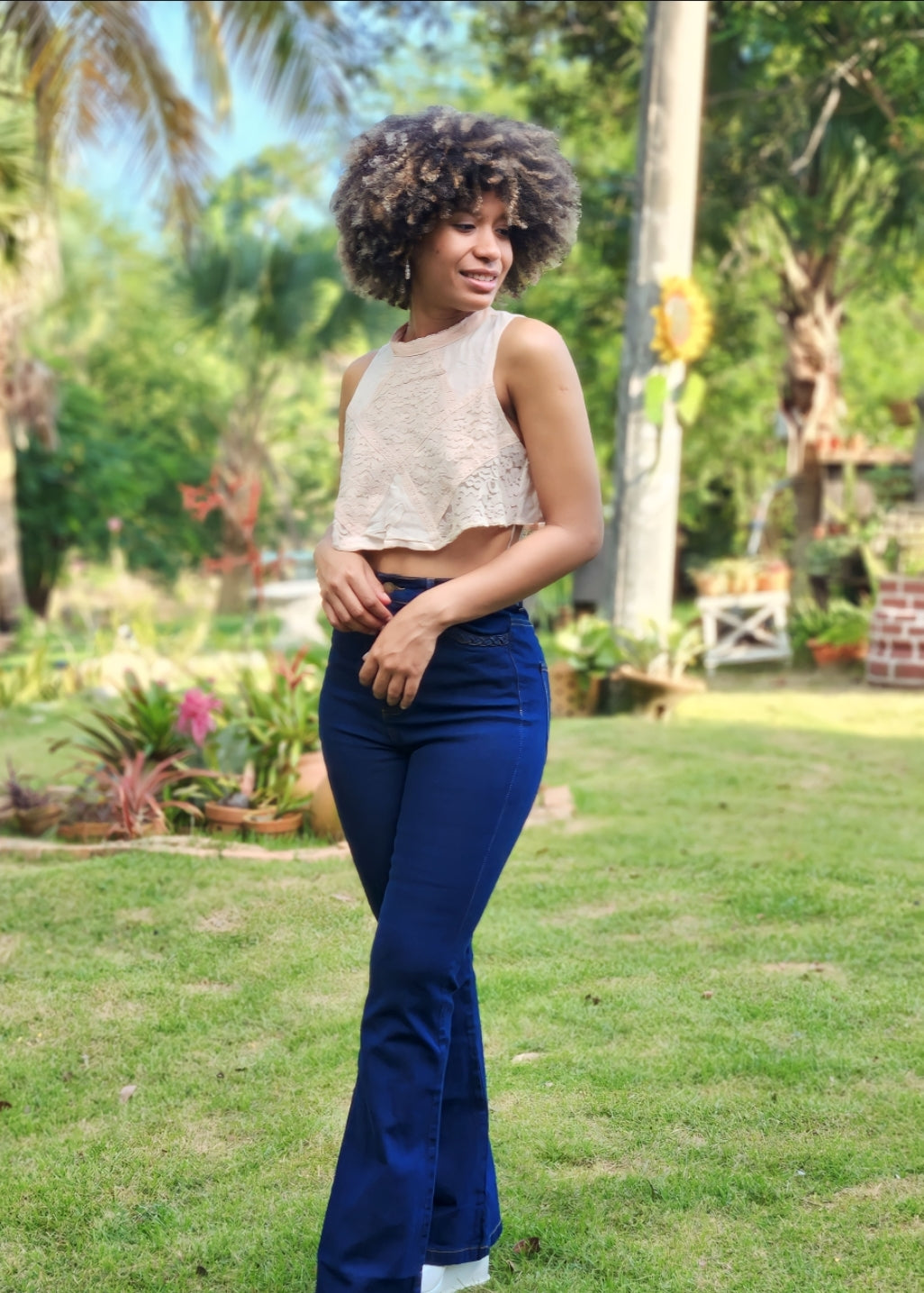 Dandie Top